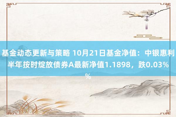 基金动态更新与策略 10月21日基金净值：中银惠利半年按时绽放债券A最新净值1.1898，跌0.03%