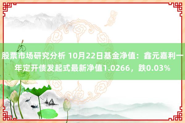 股票市场研究分析 10月22日基金净值：鑫元嘉利一年定开债发起式最新净值1.0266，跌0.03%