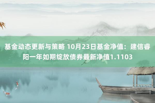 基金动态更新与策略 10月23日基金净值：建信睿阳一年如期绽放债券最新净值1.1103