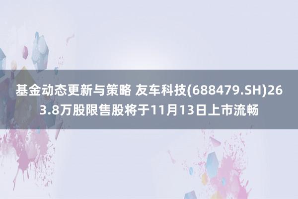 基金动态更新与策略 友车科技(688479.SH)263.8万股限售股将于11月13日上市流畅