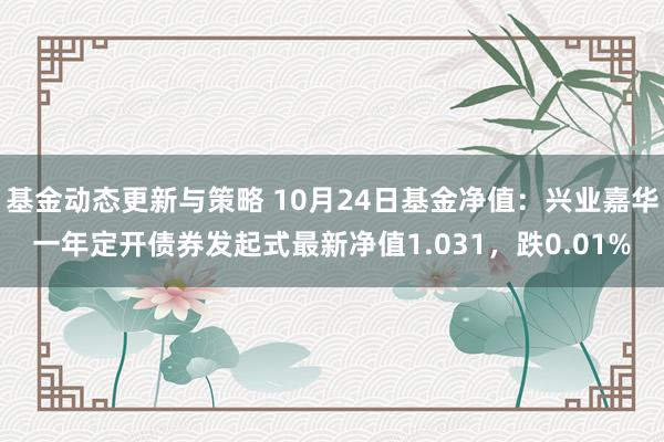 基金动态更新与策略 10月24日基金净值：兴业嘉华一年定开债券发起式最新净值1.031，跌0.01%