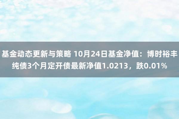 基金动态更新与策略 10月24日基金净值：博时裕丰纯债3个月定开债最新净值1.0213，跌0.01%