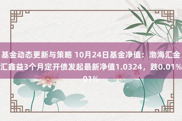 基金动态更新与策略 10月24日基金净值：渤海汇金汇鑫益3个月定开债发起最新净值1.0324，跌0.01%