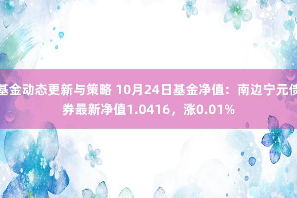 基金动态更新与策略 10月24日基金净值：南边宁元债券最新净值1.0416，涨0.01%