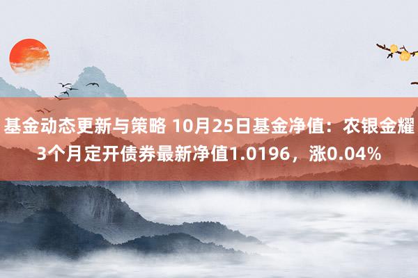 基金动态更新与策略 10月25日基金净值：农银金耀3个月定开债券最新净值1.0196，涨0.04%