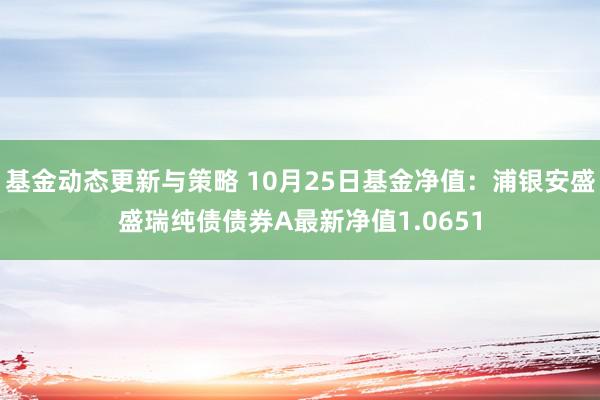 基金动态更新与策略 10月25日基金净值：浦银安盛盛瑞纯债债券A最新净值1.0651