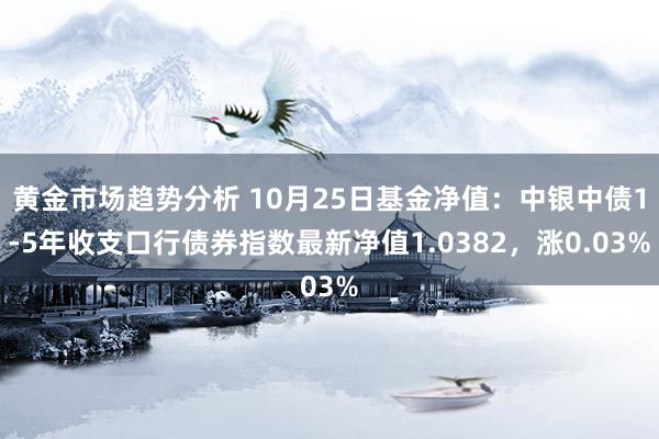 黄金市场趋势分析 10月25日基金净值：中银中债1-5年收支口行债券指数最新净值1.0382，涨0.03%