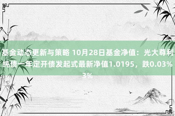 基金动态更新与策略 10月28日基金净值：光大尊利纯债一年定开债发起式最新净值1.0195，跌0.03%