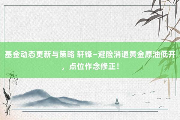 基金动态更新与策略 轩锋—避险消退黄金原油低开，点位作念修正！