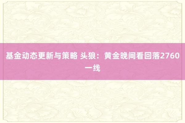 基金动态更新与策略 头狼：黄金晚间看回落2760一线