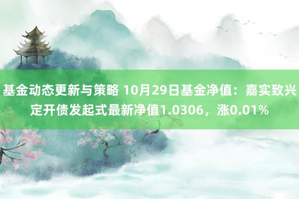 基金动态更新与策略 10月29日基金净值：嘉实致兴定开债发起式最新净值1.0306，涨0.01%