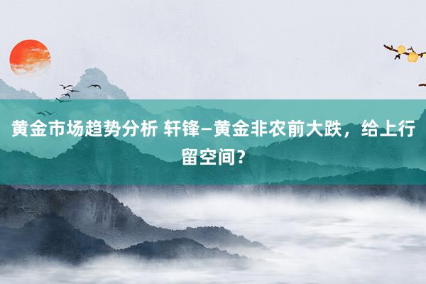 黄金市场趋势分析 轩锋—黄金非农前大跌，给上行留空间？