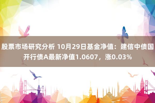 股票市场研究分析 10月29日基金净值：建信中债国开行债A最新净值1.0607，涨0.03%