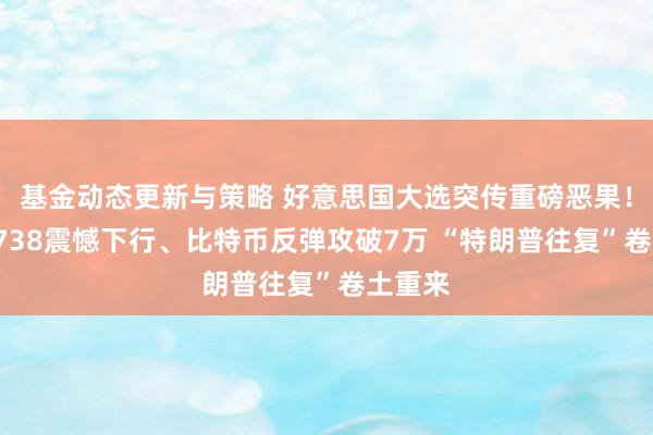 基金动态更新与策略 好意思国大选突传重磅恶果！黄金2738震憾下行、比特币反弹攻破7万 “特朗普往复”卷土重来