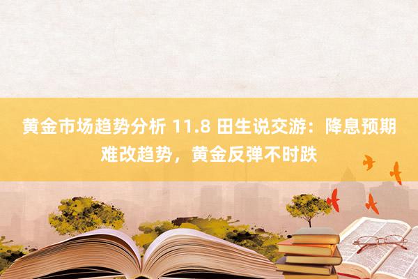 黄金市场趋势分析 11.8 田生说交游：降息预期难改趋势，黄金反弹不时跌