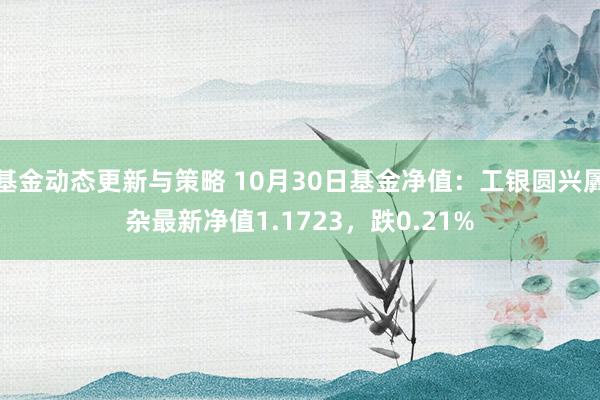 基金动态更新与策略 10月30日基金净值：工银圆兴羼杂最新净值1.1723，跌0.21%