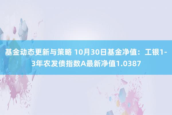 基金动态更新与策略 10月30日基金净值：工银1-3年农发债指数A最新净值1.0387