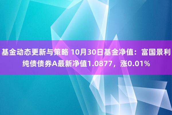 基金动态更新与策略 10月30日基金净值：富国景利纯债债券A最新净值1.0877，涨0.01%