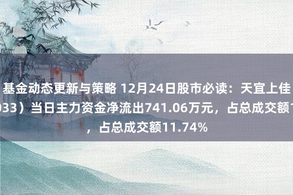 基金动态更新与策略 12月24日股市必读：天宜上佳（688033）当日主力资金净流出741.06万元，占总成交额11.74%