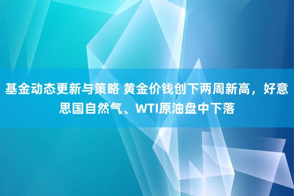 基金动态更新与策略 黄金价钱创下两周新高，好意思国自然气、WTI原油盘中下落