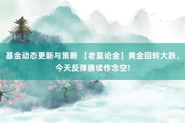 基金动态更新与策略 【老夏论金】黄金回转大跌，今天反弹赓续作念空!