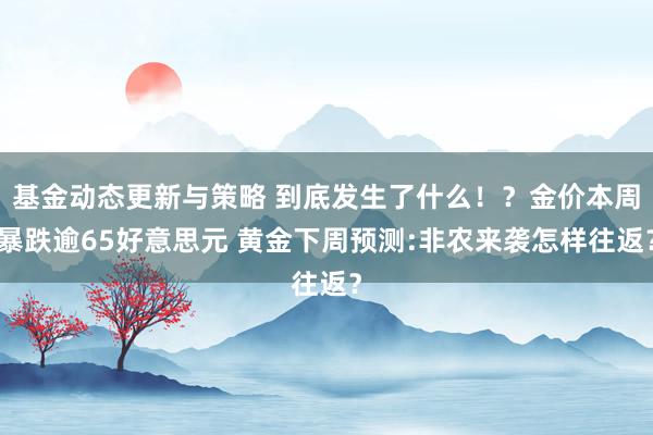 基金动态更新与策略 到底发生了什么！？金价本周暴跌逾65好意思元 黄金下周预测:非农来袭怎样往返？