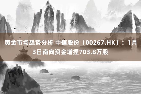 黄金市场趋势分析 中信股份（00267.HK）：1月3日南向资金增捏703.8万股