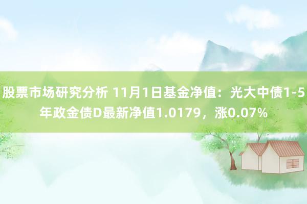 股票市场研究分析 11月1日基金净值：光大中债1-5年政金债D最新净值1.0179，涨0.07%