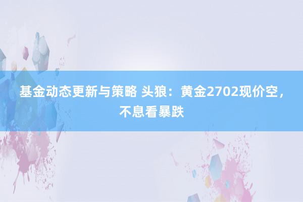 基金动态更新与策略 头狼：黄金2702现价空，不息看暴跌