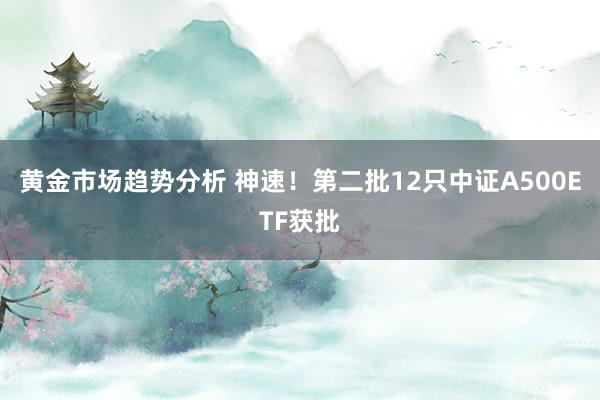 黄金市场趋势分析 神速！第二批12只中证A500ETF获批