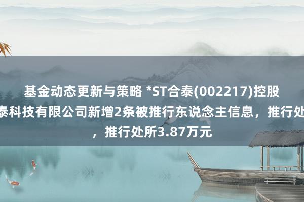 基金动态更新与策略 *ST合泰(002217)控股的江西协力泰科技有限公司新增2条被推行东说念主信息，推行处所3.87万元