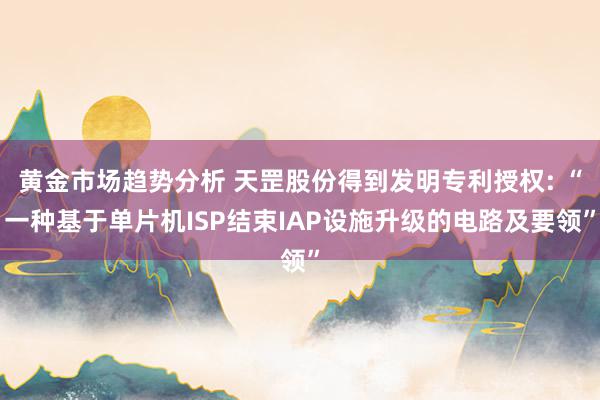 黄金市场趋势分析 天罡股份得到发明专利授权: “一种基于单片机ISP结束IAP设施升级的电路及要领”