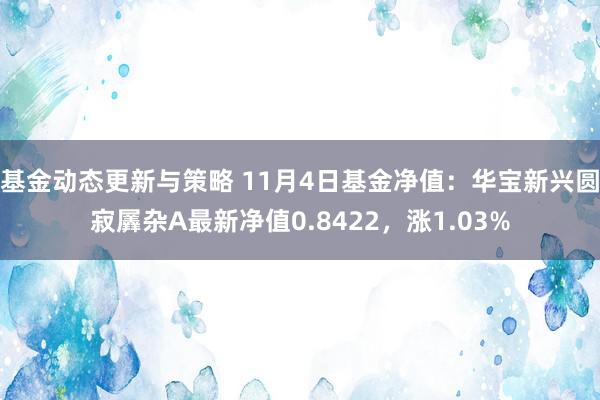 基金动态更新与策略 11月4日基金净值：华宝新兴圆寂羼杂A最新净值0.8422，涨1.03%