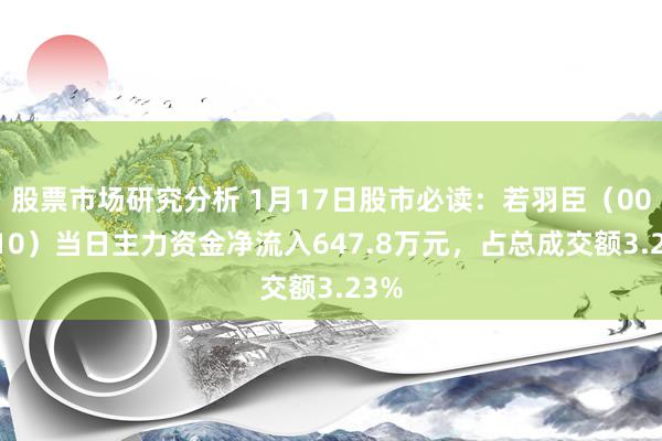 股票市场研究分析 1月17日股市必读：若羽臣（003010）当日主力资金净流入647.8万元，占总成交额3.23%