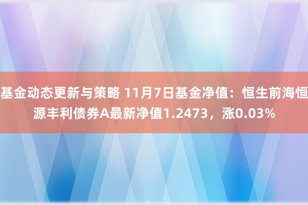 基金动态更新与策略 11月7日基金净值：恒生前海恒源丰利债券A最新净值1.2473，涨0.03%