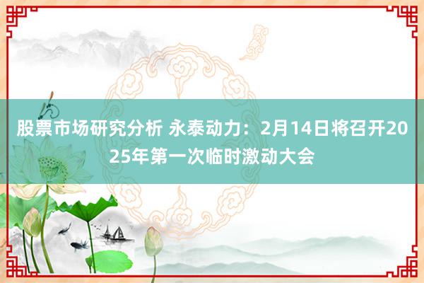 股票市场研究分析 永泰动力：2月14日将召开2025年第一次临时激动大会