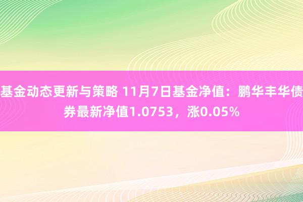 基金动态更新与策略 11月7日基金净值：鹏华丰华债券最新净值1.0753，涨0.05%