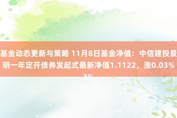 基金动态更新与策略 11月8日基金净值：中信建投景明一年定开债券发起式最新净值1.1122，涨0.03%