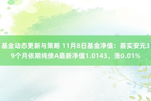 基金动态更新与策略 11月8日基金净值：嘉实安元39个月依期纯债A最新净值1.0143，涨0.01%