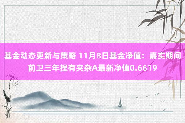 基金动态更新与策略 11月8日基金净值：嘉实期间前卫三年捏有夹杂A最新净值0.6619