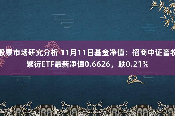 股票市场研究分析 11月11日基金净值：招商中证畜牧繁衍ETF最新净值0.6626，跌0.21%