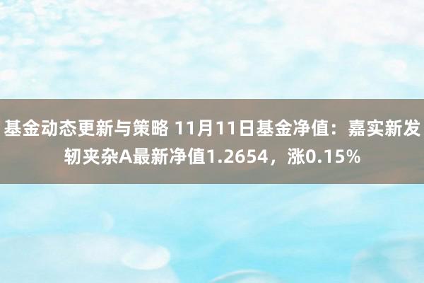 基金动态更新与策略 11月11日基金净值：嘉实新发轫夹杂A最新净值1.2654，涨0.15%