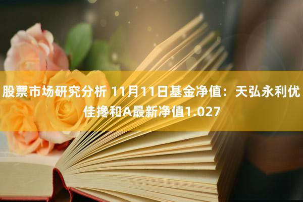 股票市场研究分析 11月11日基金净值：天弘永利优佳搀和A最新净值1.027