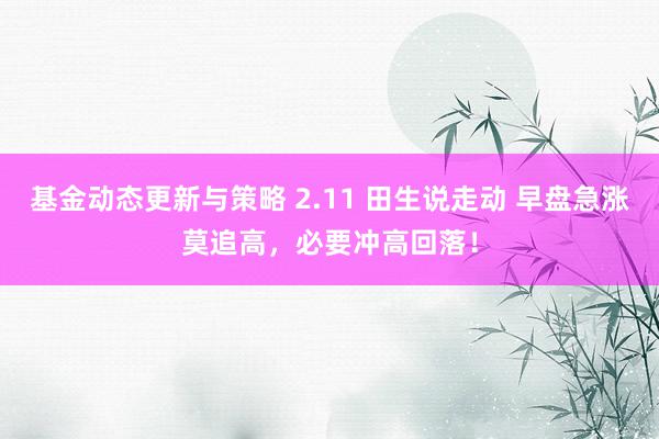 基金动态更新与策略 2.11 田生说走动 早盘急涨莫追高，必要冲高回落！