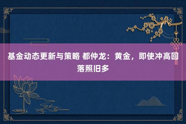 基金动态更新与策略 都仲龙：黄金，即使冲高回落照旧多