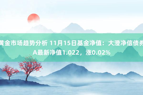 黄金市场趋势分析 11月15日基金净值：大澄净信债券A最新净值1.022，涨0.02%