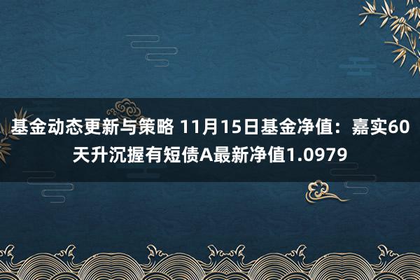 基金动态更新与策略 11月15日基金净值：嘉实60天升沉握有短债A最新净值1.0979