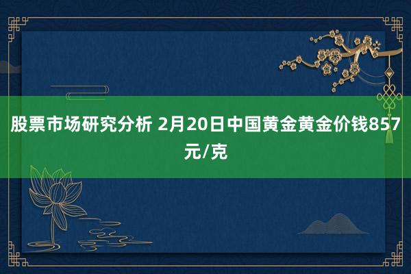 股票市场研究分析 2月20日中国黄金黄金价钱857元/克