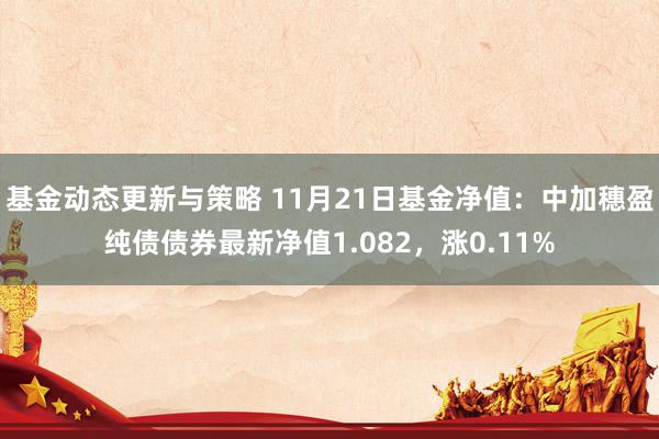 基金动态更新与策略 11月21日基金净值：中加穗盈纯债债券最新净值1.082，涨0.11%