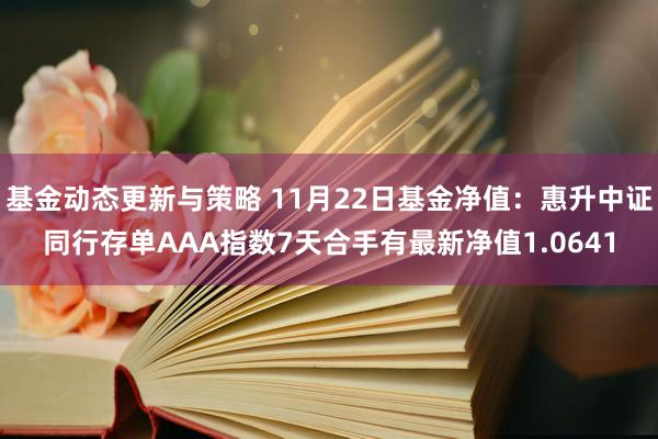 基金动态更新与策略 11月22日基金净值：惠升中证同行存单AAA指数7天合手有最新净值1.0641